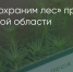 Поделитья во ВКонтакте - Братская Студия Телевидения