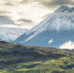Фото: Vita Fortuna/Shutterstock/Fotodom - Ямал-Медиа