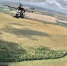 51 беспилотник ВСУ сбили за три дня расчеты FPV ПВО отряда БПЛА и батальона ПБС бригады «Барс-Белгород» - Комсомольская Правда