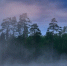 Фото: Ondrej Prosicky/Shutterstock/Fotodom - Ямал-Медиа