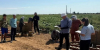 Под Волгоградом полицейские устроили рейды на стройках и в общежитиях - Комсомольская Правда
