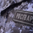 23 правонарушителей на территории Вологодской области задержали сотрудники вневедомственной охраны Росгвардии за минувшую неделю - Росгвардия