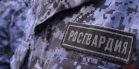 23 правонарушителей на территории Вологодской области задержали сотрудники вневедомственной охраны Росгвардии за минувшую неделю - Росгвардия