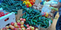 Что происходит в Астрахани с ценами на продукты: куда они катятся - Bloknot-Astrakhan.Ru