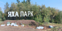 Фото: Федор Воронов/«Ямал-Медиа» - Ямал-Медиа