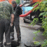 Канализационные пробки: в Саранске бьют тревогу из-за салфеток - Info-Rm.Com