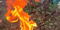 Повышенный класс пожарной опасности ожидается в районе Апатитов и Кировска - Мурманский вестник