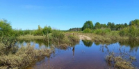 В Приамурье вода ушла с трех участков дорог - ИА Порт Амур