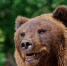 image - GazetaRB.Ru