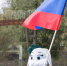 В курганском парке развернули 25-метровый флаг - Новый мир
