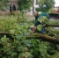 Последствия непогоды в округе - InformPskov.Ru