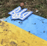 Внешний госдолг Украины после Майдана вырос в 24 раза - Газета Знамя труда
