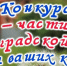 Дорогие друзья и участники нашего конкурса «Я — частица Ленинградской земли», приветствуем вас!  - Газета Приозерские ведомости