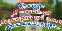 Дорогие друзья и участники нашего конкурса «Я — частица Ленинградской земли», приветствуем вас!  - Газета Приозерские ведомости