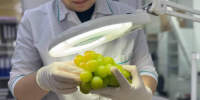 Пресс-служба Красноярского филиала ЦОК АПК - Газета Красноярский рабочий