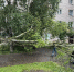 Новгородские коммунальщики устраняют последствия бури - 53news.Ru