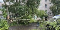 Новгородские коммунальщики устраняют последствия бури - 53news.Ru
