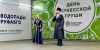 День черкесской груши провели в Адыгее - ИА Адыгея Сегодня