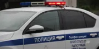 В Башкирии под колесами автомобиля погибла косуля - Башинформ