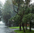 Фото: ПАИ - InformPskov.Ru