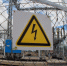 Фотофакт: В Пскове остаются поваленные деревья - Pln-Pskov.Ru