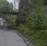 Под Приозерском работают энергетики - упала опора ЛЭП (видео) - 47 новостей
