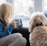woman-drinking-tea-while-it-rains - РИА 7 Новостей