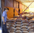 Россельхознадзор проверил более 1,4 тысячи тонн импортной продукции в Астраханской области - Комсомольская Правда