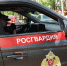 В Курске сотрудники Росгвардии задержали подозреваемого в убийстве - Росгвардия