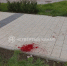 Екатеринбуржец зверски избил курьера за то, что тот сбил его собаку - Четвертый канал