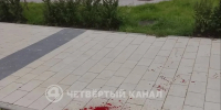 Екатеринбуржец зверски избил курьера за то, что тот сбил его собаку - Четвертый канал