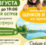 На Зеленом острове пройдет выставка-раздача бездомных животных от липецкого приюта - LipetskNews.Ru