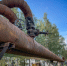 Фото: ПТС - InformPskov.Ru