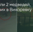 Поделитья во ВКонтакте - Братская Студия Телевидения