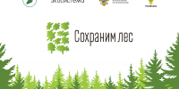 Приморцы могут помочь восстановить лес после пожаров - Минлесхоз Приморского края