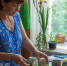 Банки из-под горошка и кукурузы никогда не выбрасываю: вот как приспособила их на даче - 6 вариантов - Pg12.Ru
