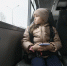 В Госдуме хотят дать ученикам право на бесплатный проезд до школы - Комсомольская Правда