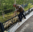 Фото: sakha.gov.ru - Якутское-Cаха ИА