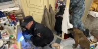 В Тюмени две подружки наворовали ювелирки на сумму больше 1 миллиона рублей – как они это сделали - MegaTyumen.Ru