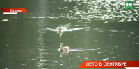 Грозы, ливни и жара до +28 градусов придут в Татарстан 24 августа - ТРК Татарстан-Новый век