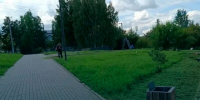Центр туризма и гостеприимства ежедневно наводит порядок на общественных пространствах города. - Город Дивногорск