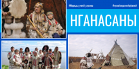Нганасаны: самый северный народ Евразии - Историко-краеведческий музей