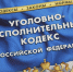 Грузчик не удержался от соблазна и украл лестницу в Бийске - Комсомольская Правда