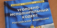 Грузчик не удержался от соблазна и украл лестницу в Бийске - Комсомольская Правда