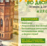 Приглашаем бузулучан на праздник «Лето во дворе» - Администрация города