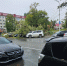 Деревья раздавили припаркованные автомобили в Южно-Сахалинске - CitySakh.Ru