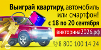 Кто стоит за «Взятием снежного городка»? - Газета Емельяновские веси