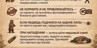 памятка о встрече с медведем. - Каратузский район