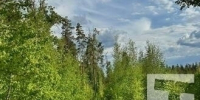 В Тольятти ожидается жара до +29°C - TltGorod.Ru