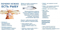 О пользе рыбы в питании человека - Балтайский район